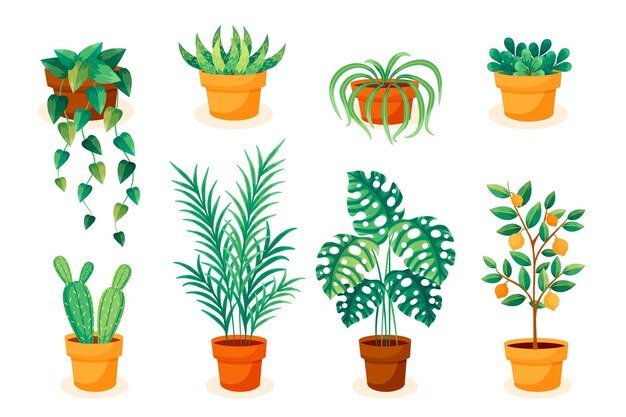 Flat design kamerplant collectie