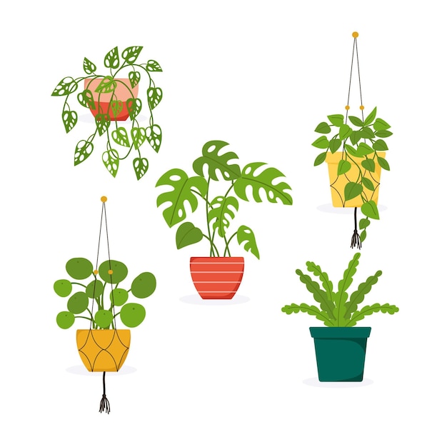 Gratis vector flat kamerplant collectie