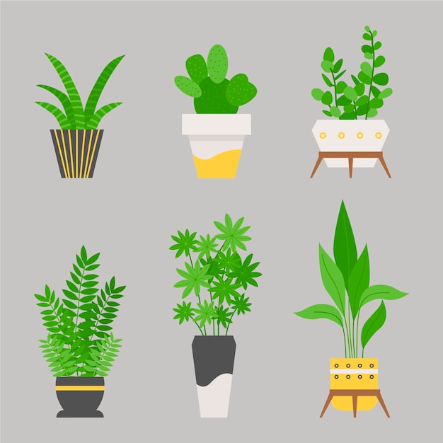 Gratis vector flat kamerplant collectie