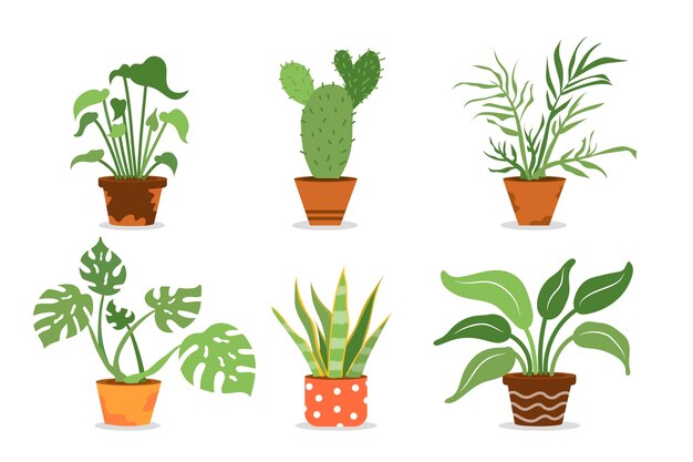 Flat kamerplant collectie