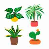 Gratis vector flat kamerplant collectie