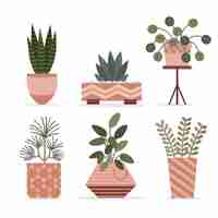 Gratis vector flat kamerplant collectie