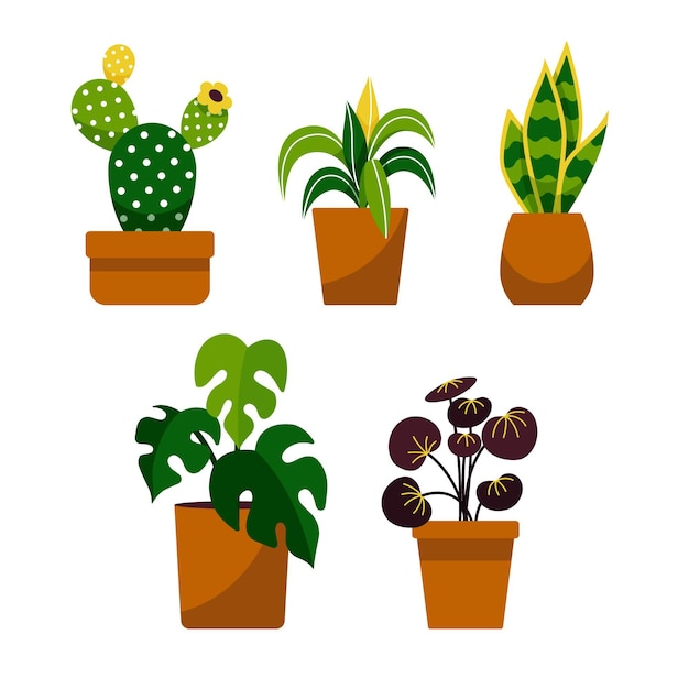 Gratis vector flat kamerplant collectie