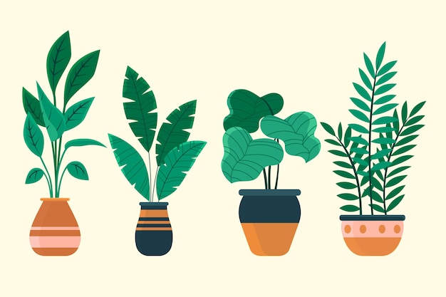 Gratis vector flat kamerplant collectie