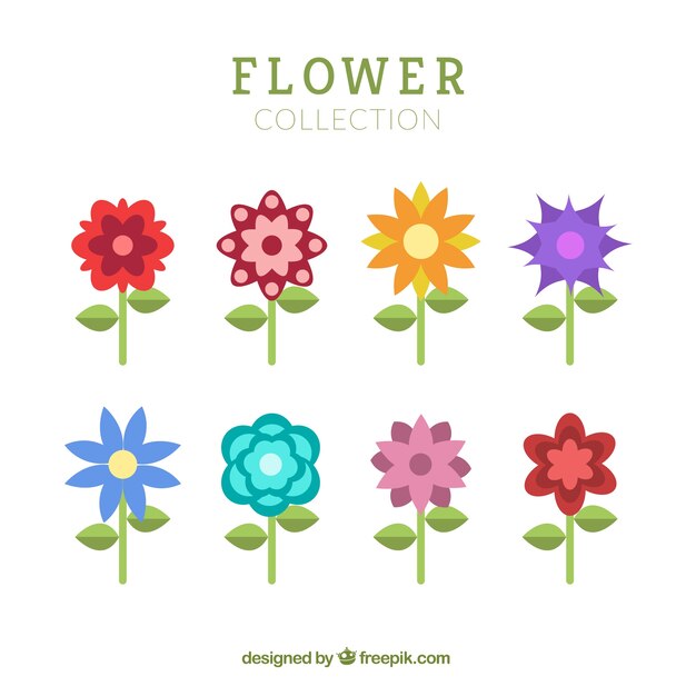 Flat verzameling van verschillende soorten bloemen