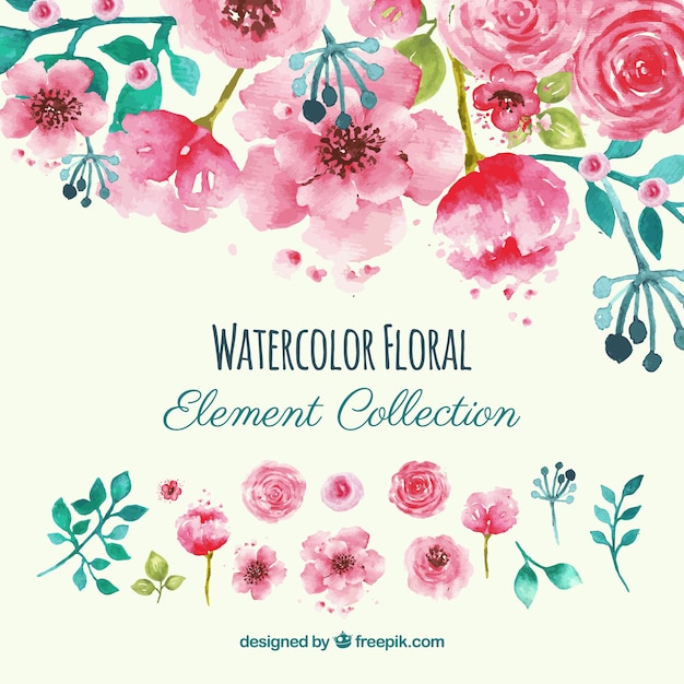 Floral elementen collectie