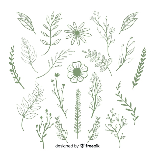 Gratis vector floral hand getrokken sieraad set