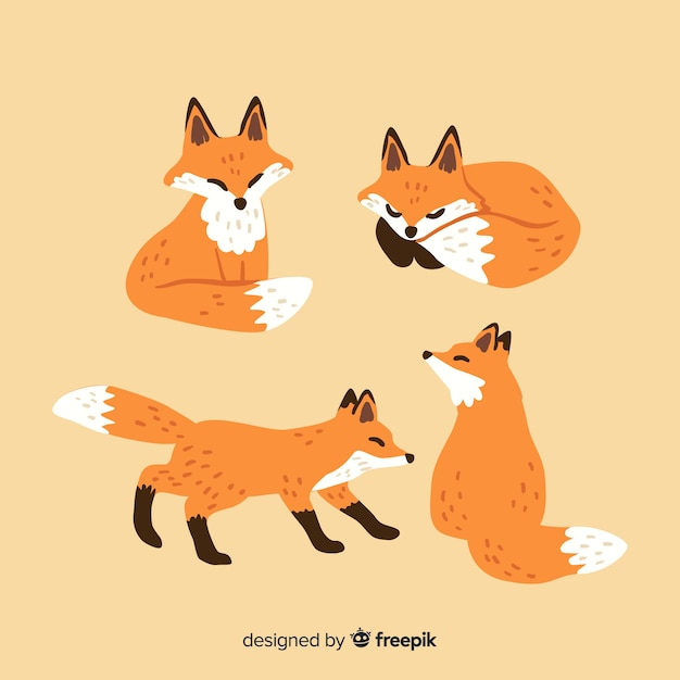 Gratis vector fox-collectie hand getrokken stijl