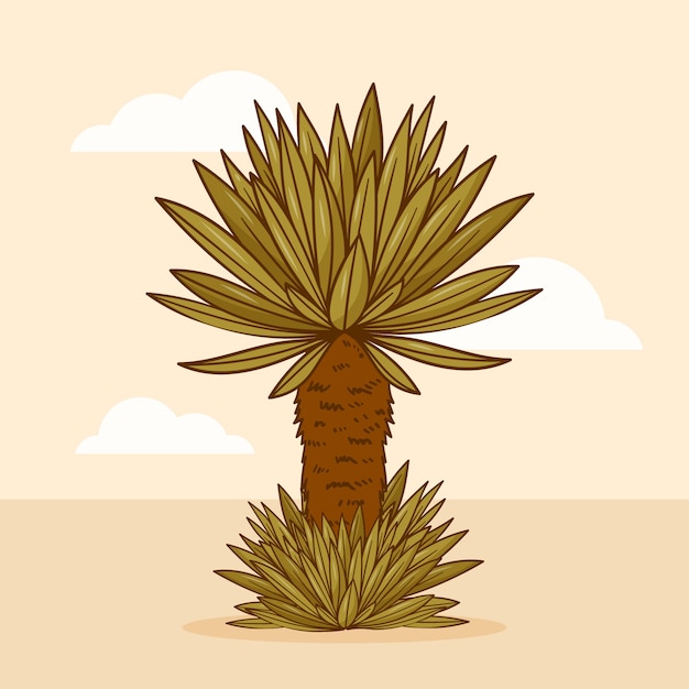 Gratis vector frailejon plant illustratie