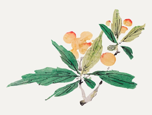 Fruit vector botanische kunst print, geremixt van kunstwerken van Hu Zhengyan