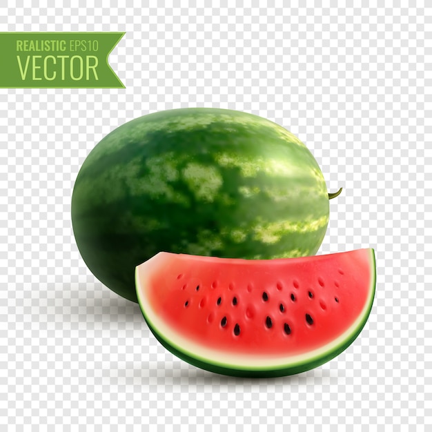 Gratis vector fruitig realistisch ontwerpconcept met hele watermeloen en smakelijke sappige plak van rijpe rode bes transparant