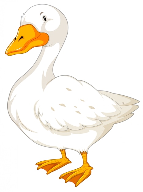 Gratis vector gans op witte achtergrond