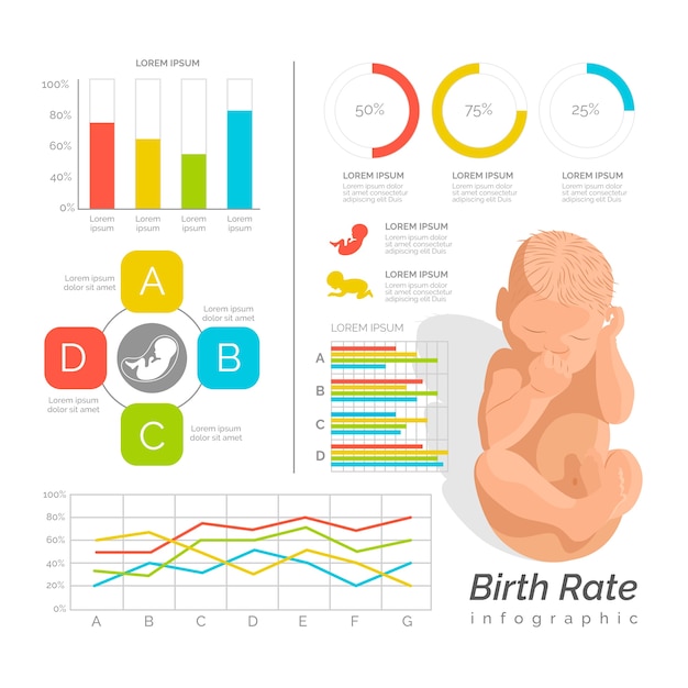 Geboortecijfer infographic