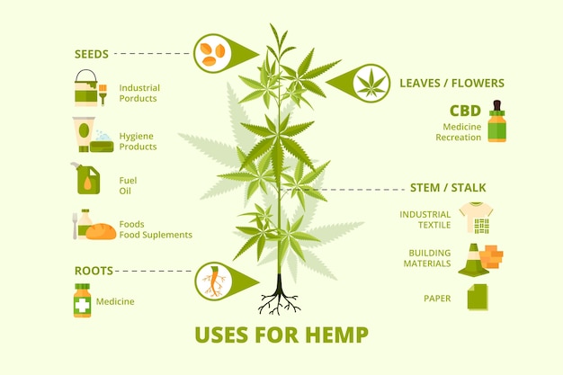 Gebruik van hennep - infographic