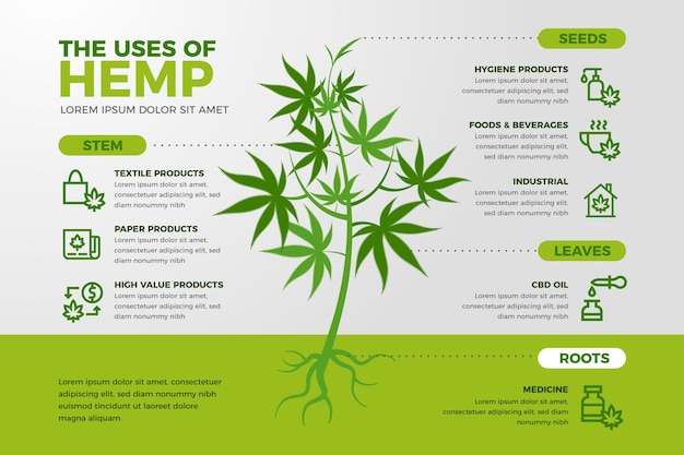 Gebruik van hennep infographic