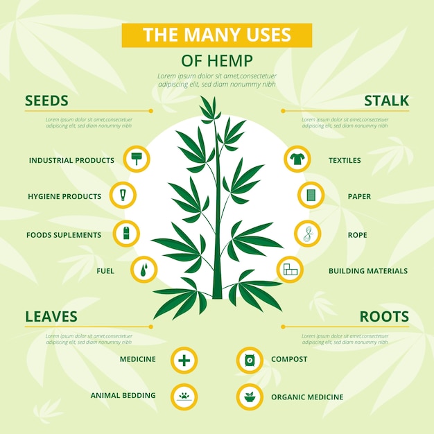 Gebruik van hennep - infographic