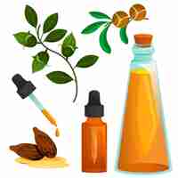 Gratis vector gedetailleerde jojoba-elementenverzameling