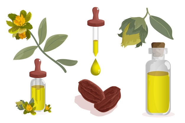 Gratis vector gedetailleerde jojoba-elementenverzameling