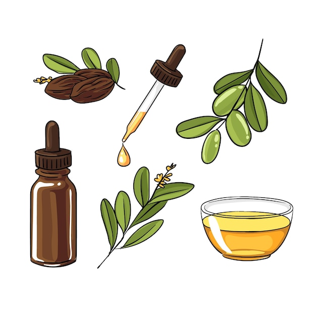 Gedetailleerde jojoba-elementenverzameling