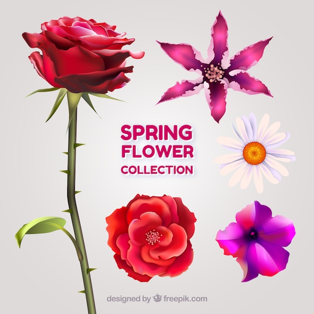 Gedetailleerde lente bloemen collectie
