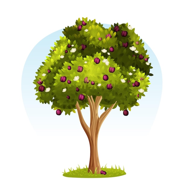 Gratis vector gedetailleerde pruimenboom illustratie