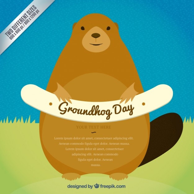 Gratis vector geïllustreerd groundhog day achtergrond