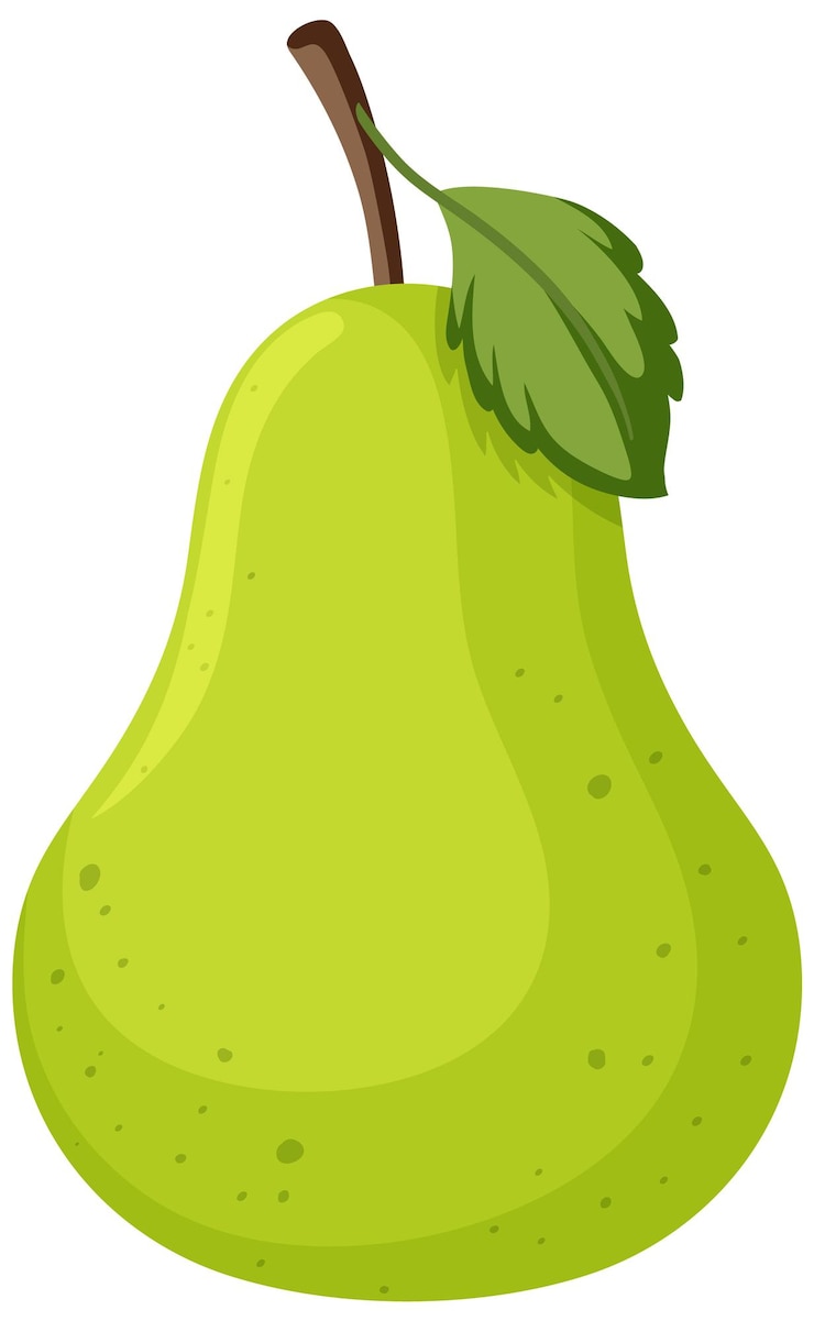Gratis Vector geïsoleerd perenfruit op witte achtergrond