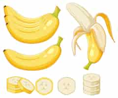 Gratis vector geïsoleerde banaan fruit cartoon