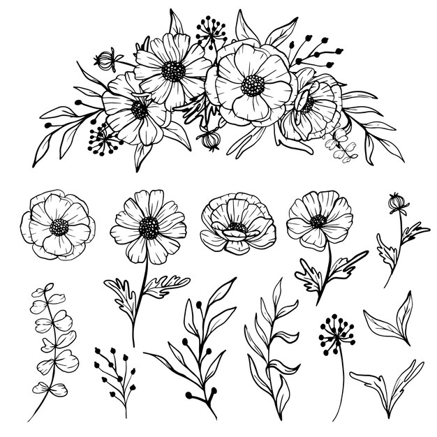 Geïsoleerde daisy lijntekeningen bloemen clipart