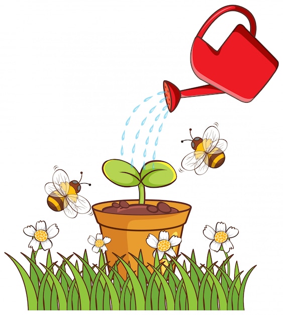 Gratis vector geïsoleerde foto van plant in pot