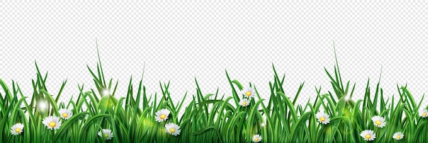 Gratis vector geïsoleerde groen gras gazon grens illustratie