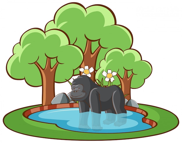 Geïsoleerde illustratie van gorilla in de vijver