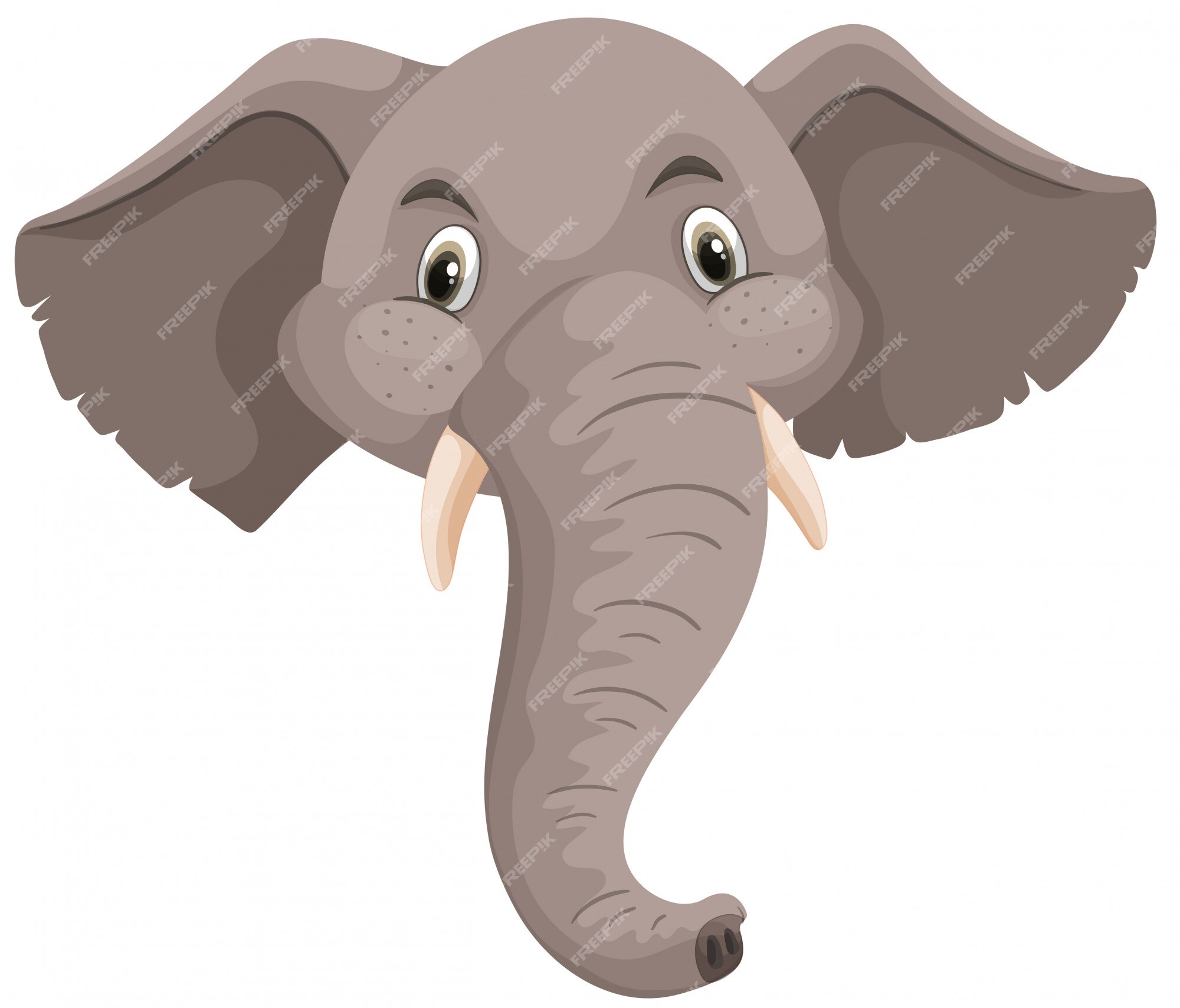 Silicium Exclusief Defilé Geïsoleerde olifant hoofd witte achtergrond | Gratis Vector