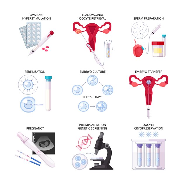 Geïsoleerde platte in-vitrofertilisatie IVF-pictogrammenset met bevruchting, zwangerschap, embryocultuuroverdracht en andere beschrijvingen