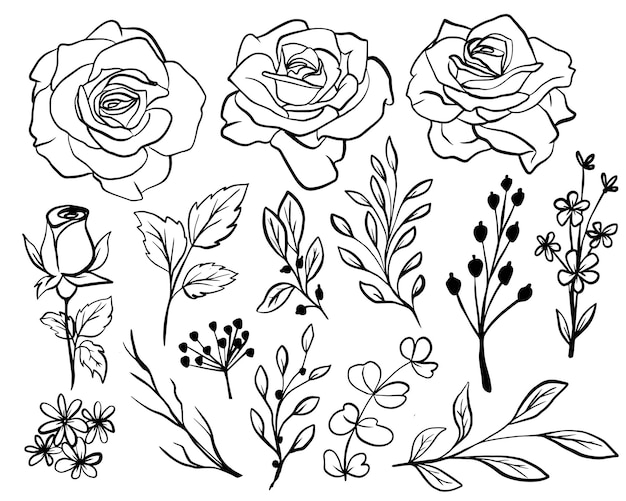 Gratis vector geïsoleerde rose flower line art met bladeren