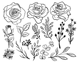 Gratis vector geïsoleerde rose flower line art met bladeren