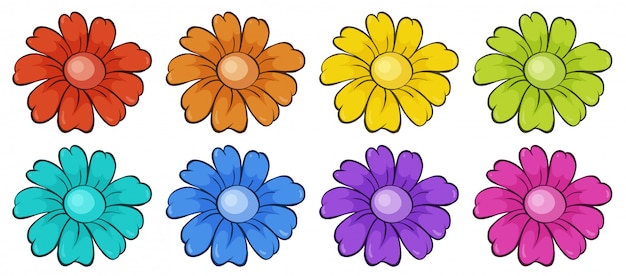 Geïsoleerde set bloemen