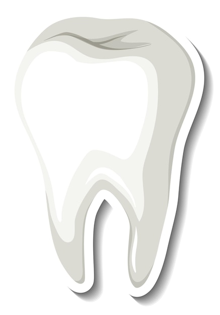 Geïsoleerde witte tand op witte achtergrond