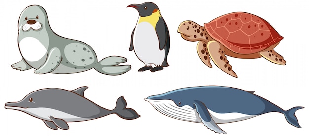 Gratis vector geïsoleerde zeedieren