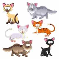 Gratis vector gekleurde katten collectie