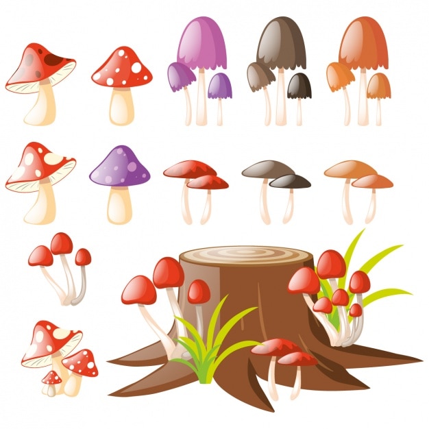 Gekleurde paddestoelen collectie
