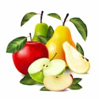 Gratis vector gekleurde realistische peer-appelsamenstelling hele en gesneden peren-appels van verschillende variëteiten vectorillustratie