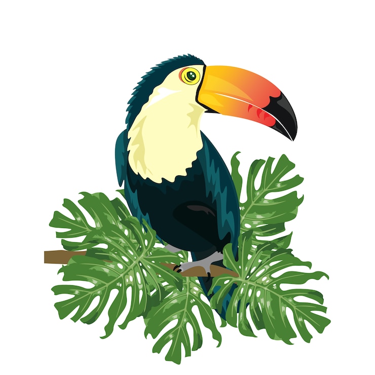 Gratis Vector gekleurde toekan ontwerp