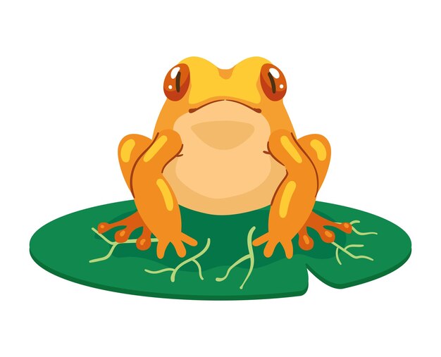 gele kikker drijvend in blad