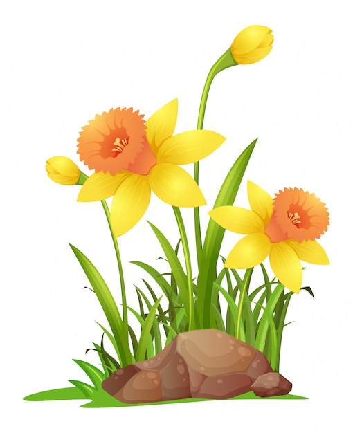 Gratis vector gele narcisbloemen in tuin