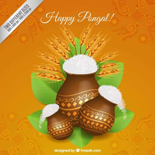 Gratis vector gelukkig pongal achtergrond