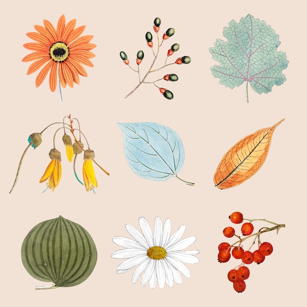 Gratis vector gemengde bloemen en bladeren instellen