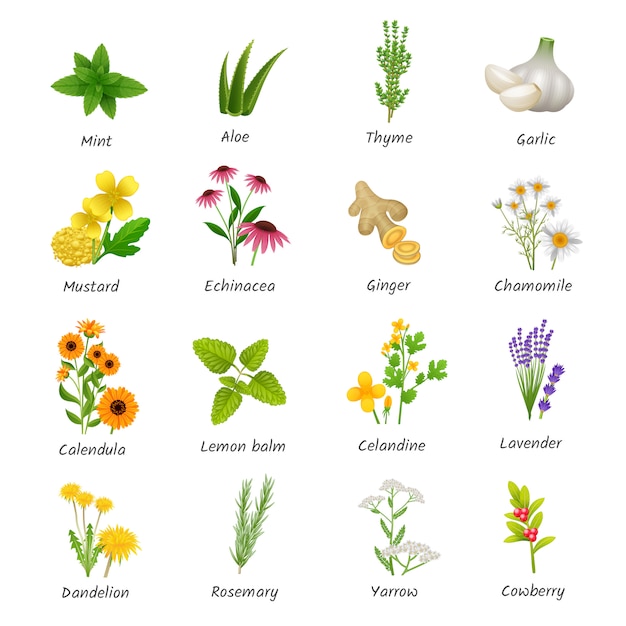 Gratis vector genezende kruiden en geneeskrachtige planten vlakke pictogrammen