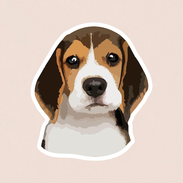 Gratis vector gevectoriseerde schattige beagle-sticker met een witte rand