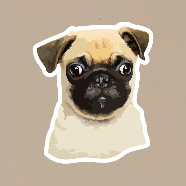 Gratis vector gevectoriseerde schattige pug-sticker met een witte rand